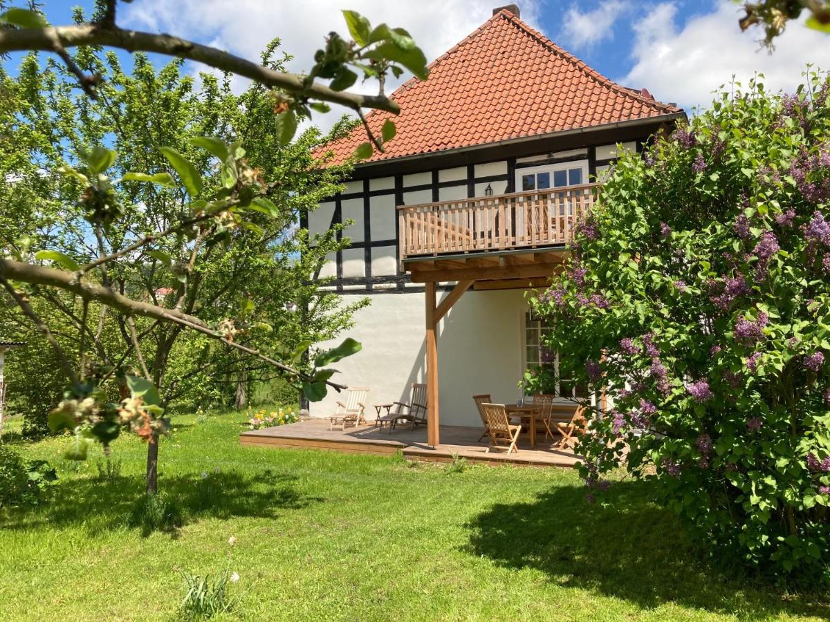 דירות Bauhaus Forsthaus In Waldhessen מראה חיצוני תמונה